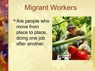 Migrant Workers
Are people who
 move from
 place to place,
 doing one job
 after another.
 