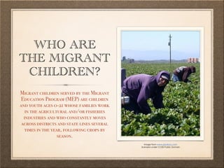 Migrant workers | PDF
