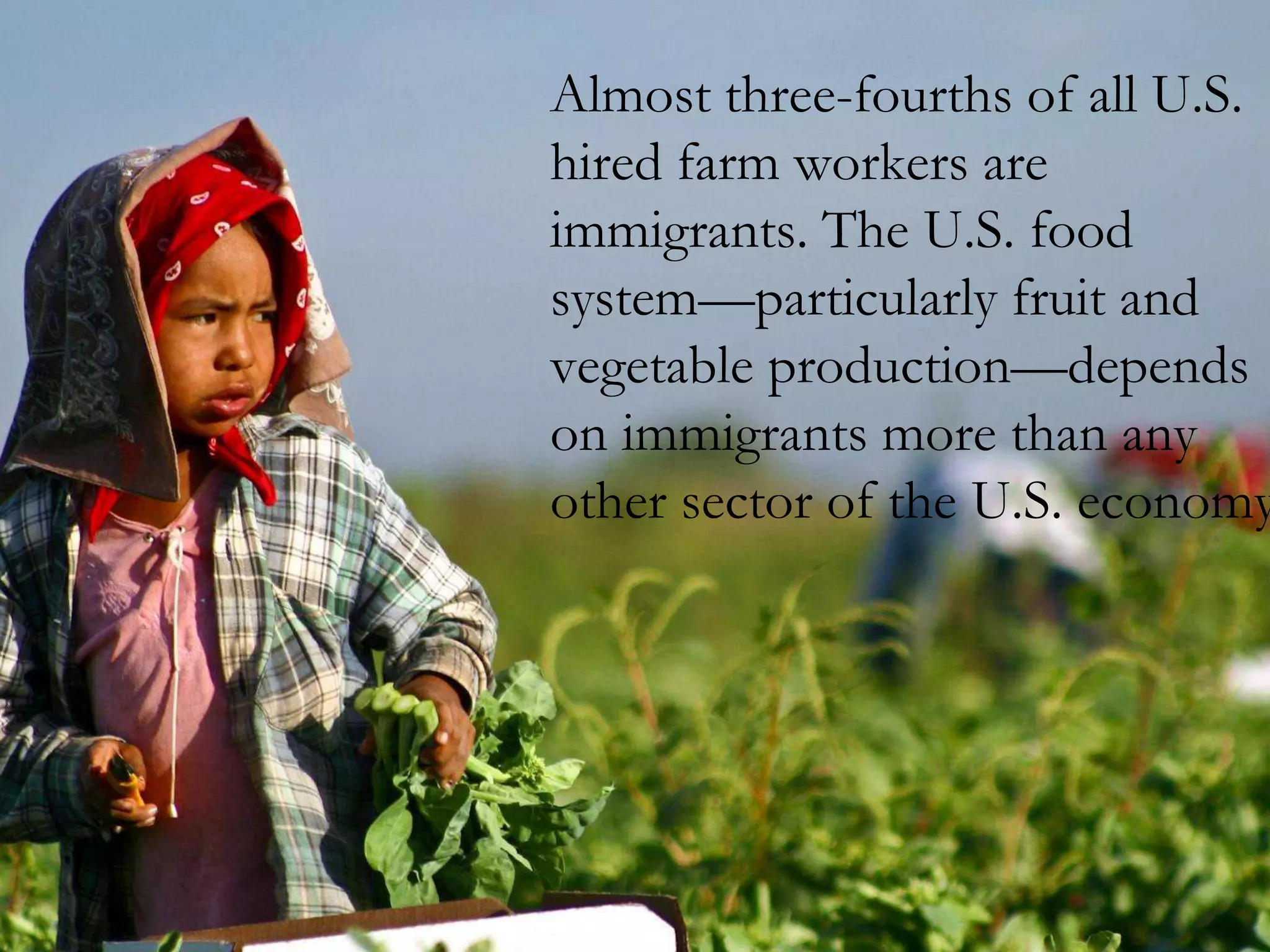 Almost three-fourths of all U.S.
hired farm workers are
immigrants. The U.S. food
system—particularly fruit and
vegetable production—depends
on immigrants more than any
other sector of the U.S. economy
 
