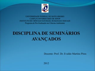 DISCIPLINA DE SEMINÁRIOS
AVANÇADOS
Docente: Prof. Dr. Evaldo Martins Pires
2012
 