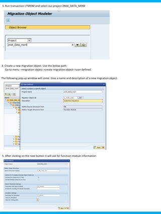 Migrate Custom data/object in SAP S/4 HANA | PDF