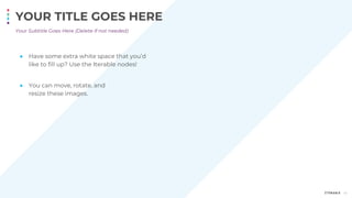 45
Your Subtitle Goes Here (Delete if not needed)
YOUR TITLE GOES HERE
● Have some extra white space that you’d
like to fill up? Use the Iterable nodes!
● You can move, rotate, and
resize these images.
 