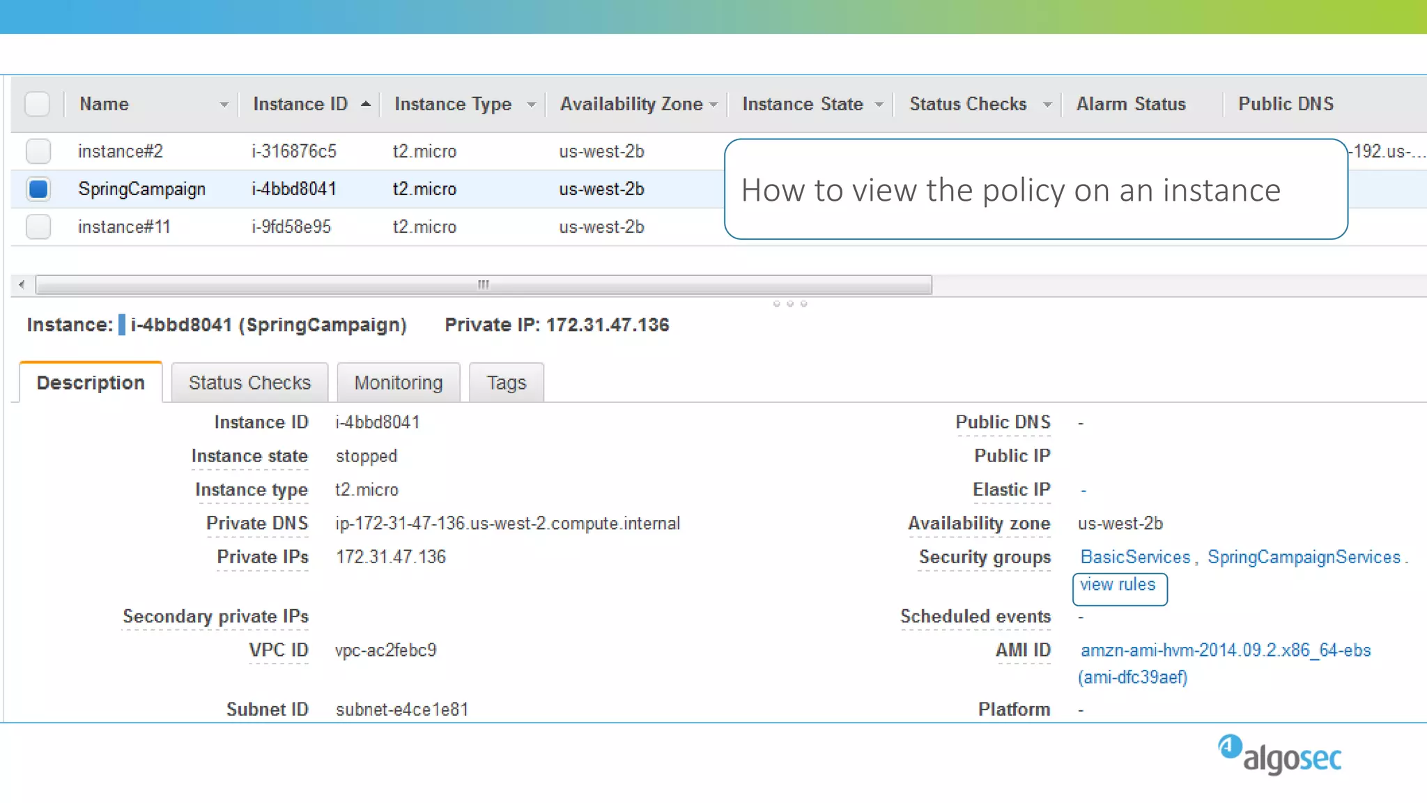 How to view the policy on an instance
 