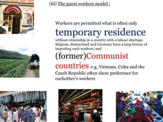 .
(iii) The guest workers model :
Workers are permitted what is often only
temporary residence
without citizenship in a country with a labour shortage.
Belgium, Switzerland and Germany have a long history of
importing such workers; and
(former)Communist
countries e.g. Vietnam, Cuba and the
Czech Republic often show preference for
eachother‟s workers
 