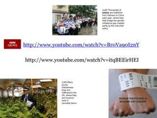 .
http://www.youtube.com/watch?v=Br0Va90I2nY
http://www.youtube.com/watch?v=itqBEEirHEI
(Left) Many
young
Vietnamese
boys are
trafficked to the
UK, where they
are forced to
work in
cannabis farms
(Left) Thousands of
babies are trafficked
from Vietnam to China
each year, where they
help bridge the gender-
imbalance gap created
partly by the one-child
policy
 