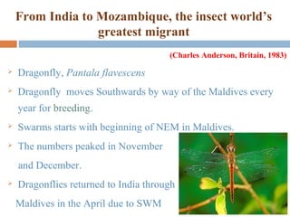 Migration OF INSECTS | PPT