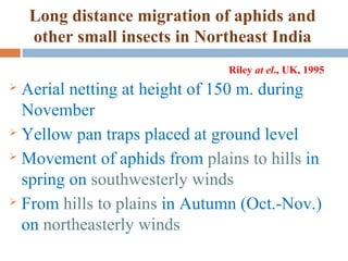 Insect Migration Raida Migration OF INSECTS | PPT