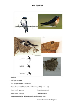 Bird Migration
Answers:
-The differences are:
-The house martin has a white chest
The swallow has a White chest but with an orange bib (on the neck)
House martin open nest Swallow closed nest
House martin short tail Swallow long tail
THe house martin flies at the altitude of a first or second floor
Swallow flies even with the ground
 