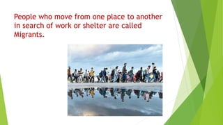 People who move from one place to another
in search of work or shelter are called
Migrants.
 