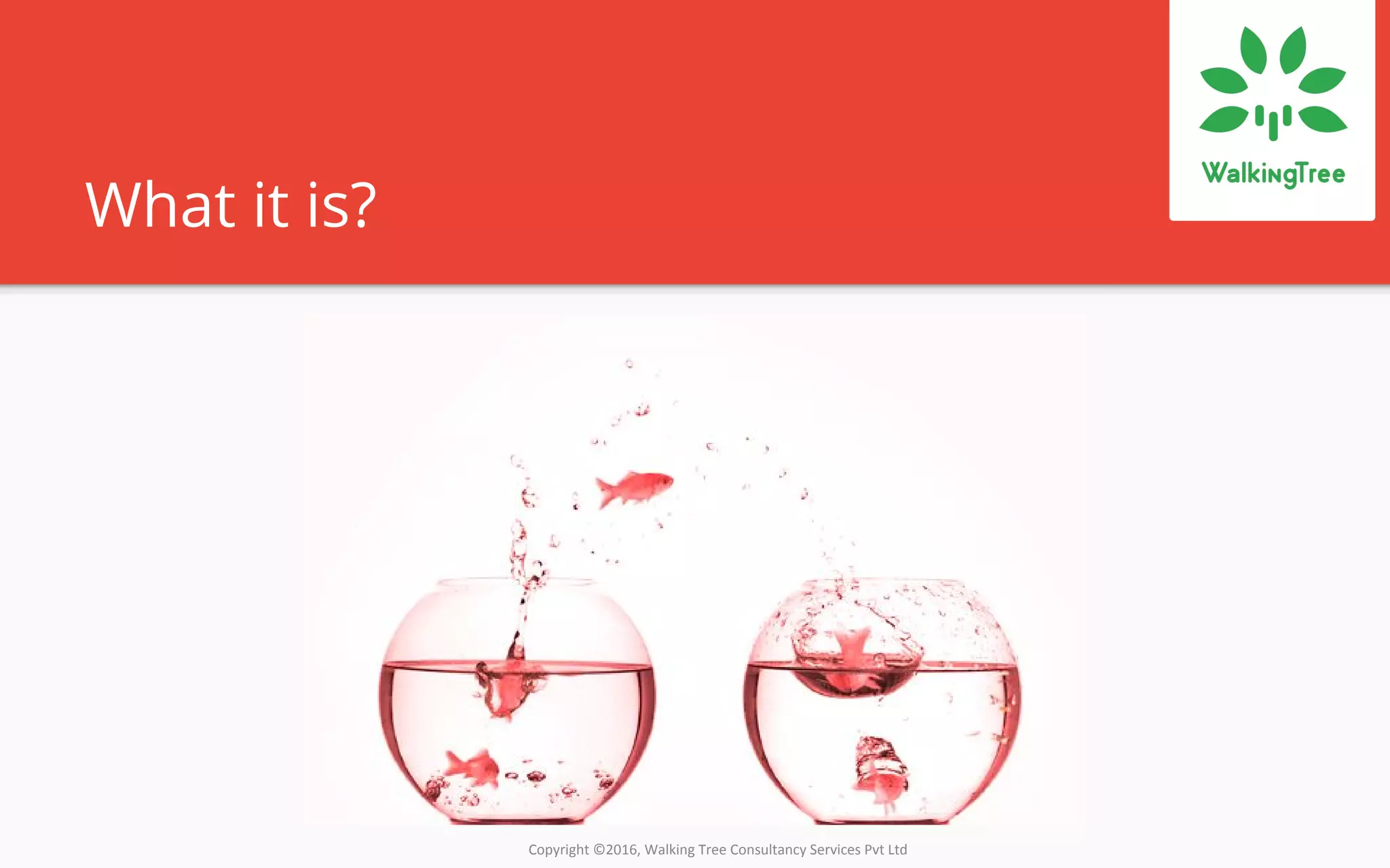 Copyright ©2016, Walking Tree Consultancy Services Pvt Ltd
What it is?
 