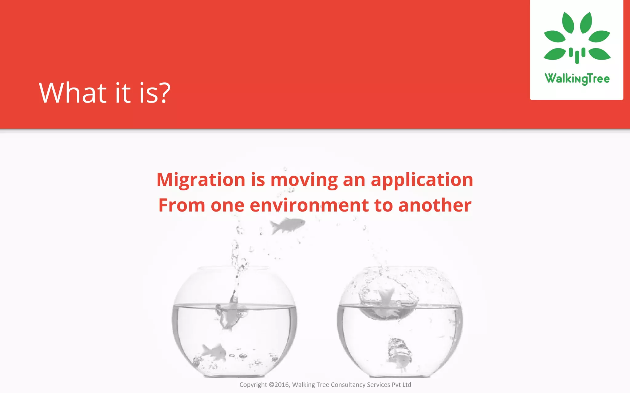 Copyright ©2016, Walking Tree Consultancy Services Pvt Ltd
What it is?
Migration is moving an application
From one environment to another
 