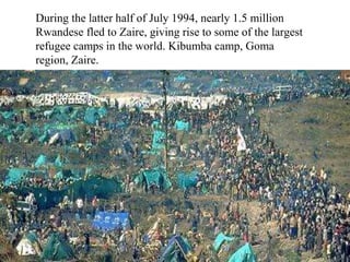 During the latter half of July 1994, nearly 1.5 million
Rwandese fled to Zaire, giving rise to some of the largest
refugee...