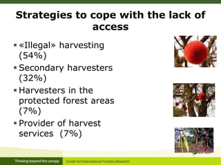 Linking migration, forest and gender in Burkina Faso