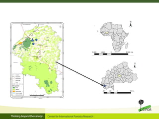 Linking migration, forest and gender in Burkina Faso