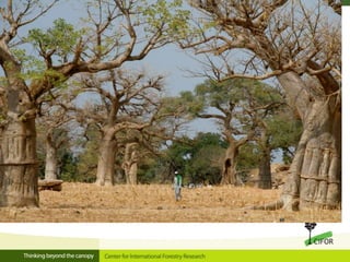 Linking migration, forest and gender in Burkina Faso