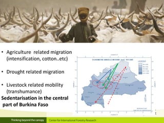 Linking migration, forest and gender in Burkina Faso