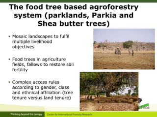 Linking migration, forest and gender in Burkina Faso