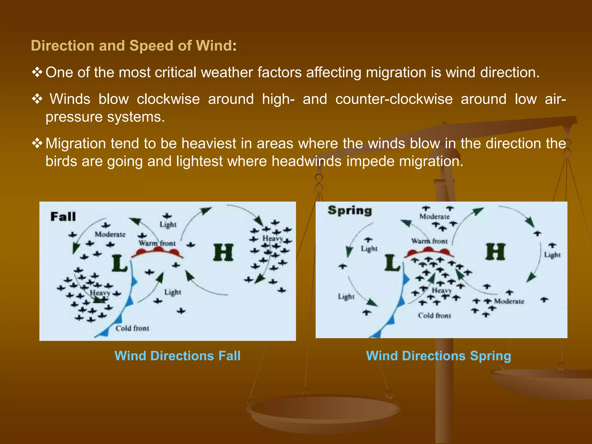 Direction and Speed of Wind:
One of the most critical weather factors affecting migration is wind direction.
 Winds blow clockwise around high- and counter-clockwise around low air-
pressure systems.
Migration tend to be heaviest in areas where the winds blow in the direction the
birds are going and lightest where headwinds impede migration.
Wind Directions Fall Wind Directions Spring
 