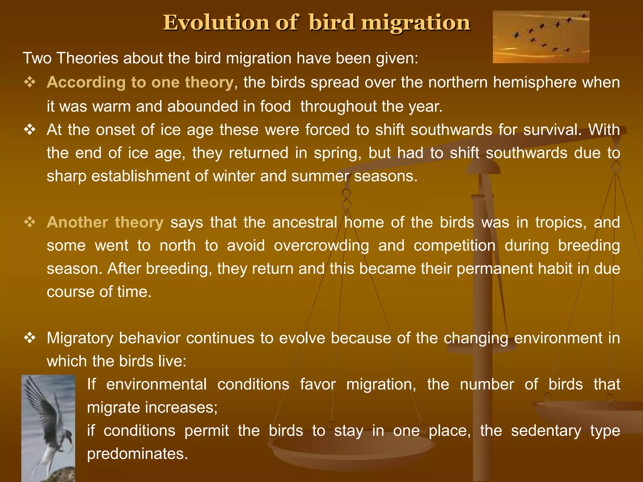 Two Theories about the bird migration have been given:
 According to one theory, the birds spread over the northern hemisphere when
it was warm and abounded in food throughout the year.
 At the onset of ice age these were forced to shift southwards for survival. With
the end of ice age, they returned in spring, but had to shift southwards due to
sharp establishment of winter and summer seasons.
 Another theory says that the ancestral home of the birds was in tropics, and
some went to north to avoid overcrowding and competition during breeding
season. After breeding, they return and this became their permanent habit in due
course of time.
 Migratory behavior continues to evolve because of the changing environment in
which the birds live:
If environmental conditions favor migration, the number of birds that
migrate increases;
if conditions permit the birds to stay in one place, the sedentary type
predominates.
Evolution of bird migration
 