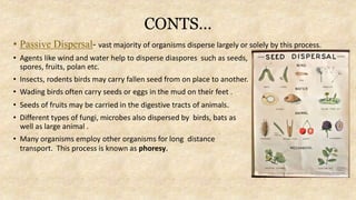 CONTS…
• Passive Dispersal- vast majority of organisms disperse largely or solely by this process.
• Agents like wind and water help to disperse diaspores such as seeds,
spores, fruits, polan etc.
• Insects, rodents birds may carry fallen seed from on place to another.
• Wading birds often carry seeds or eggs in the mud on their feet .
• Seeds of fruits may be carried in the digestive tracts of animals.
• Different types of fungi, microbes also dispersed by birds, bats as
well as large animal .
• Many organisms employ other organisms for long distance
transport. This process is known as phoresy.
 