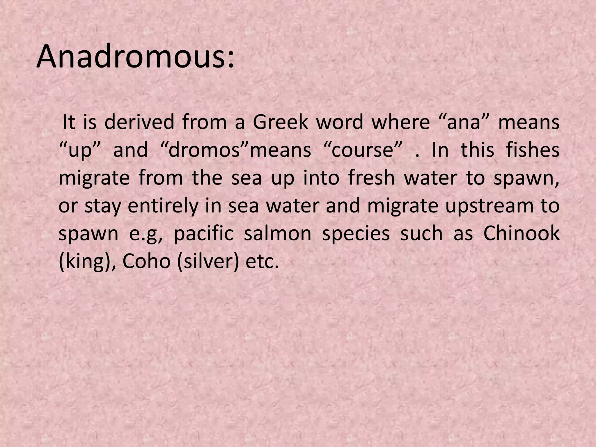 Migration in fishes | PPTX