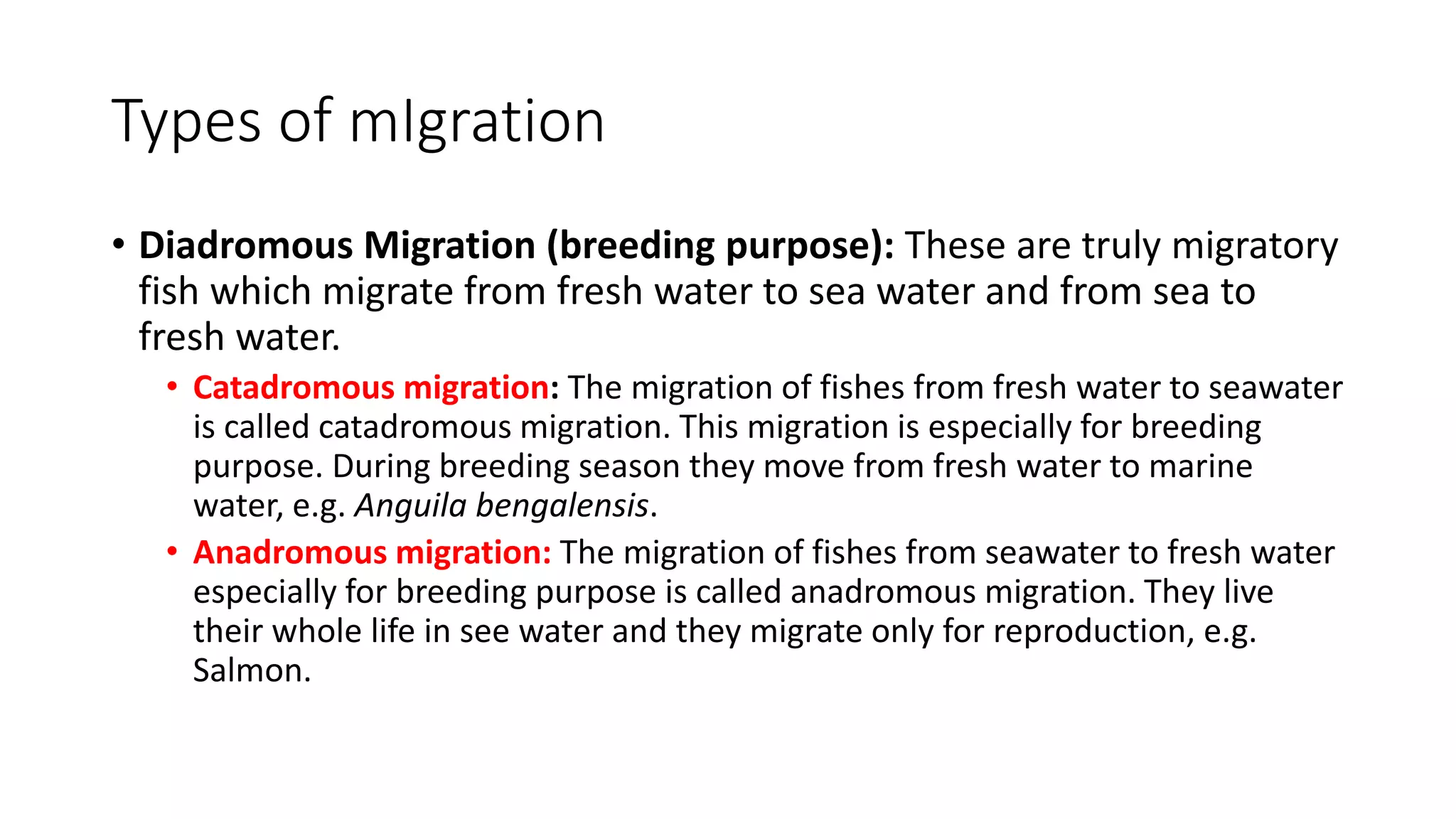 Migration In Fishes Class11 Biology Pptx Migration In Fishes Class11 Biology Pptx