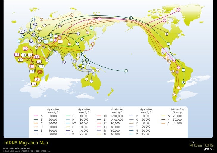 Migration map final