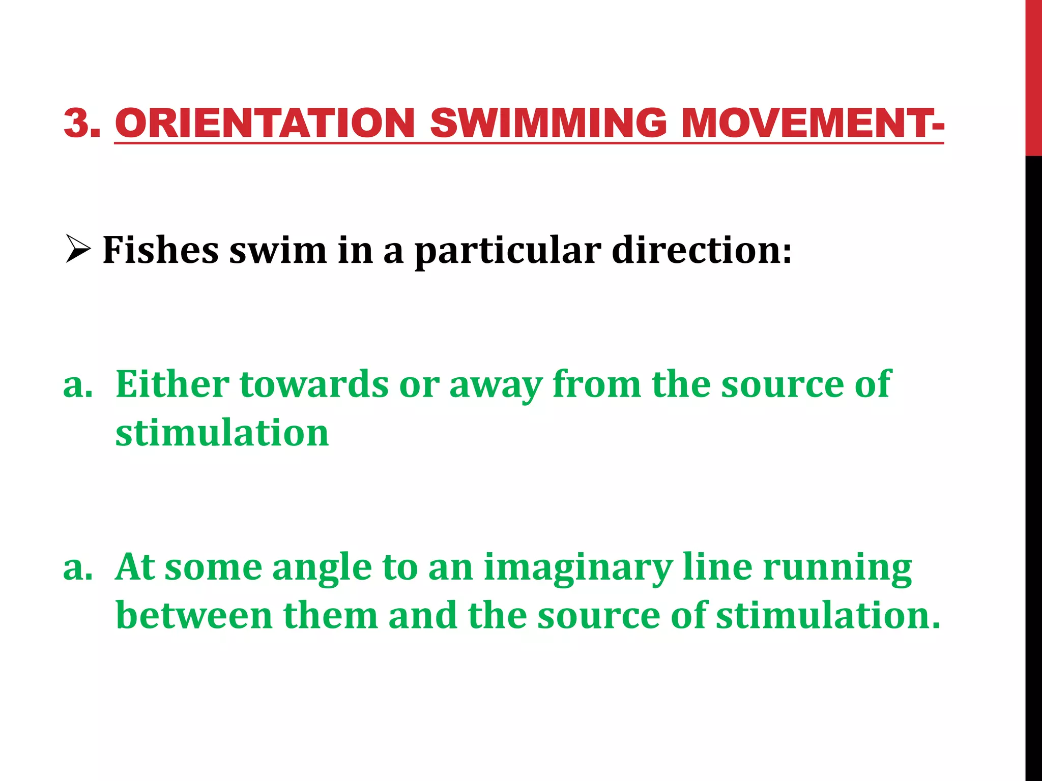 3. ORIENTATION SWIMMING MOVEMENT-
 Fishes swim in a particular direction:
a. Either towards or away from the source of
stimulation
a. At some angle to an imaginary line running
between them and the source of stimulation.
 