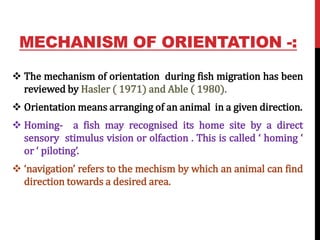 MECHANISM OF ORIENTATION -:
 The mechanism of orientation during fish migration has been
reviewed by Hasler ( 1971) and Able ( 1980).
 Orientation means arranging of an animal in a given direction.
 Homing- a fish may recognised its home site by a direct
sensory stimulus vision or olfaction . This is called ‘ homing ‘
or ‘ piloting’.
 ‘navigation’ refers to the mechism by which an animal can find
direction towards a desired area.
 