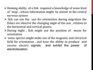 Homing ability of a fish required a knowledge of some kind
of ‘ map’ , whose information might be stored in the central
nervous system
 fish can use the sun for orientation during migration the
fishes are observe the changing angle of the sun , relative to
the horizontal and vertical planes.
During night , fish might use the position of moon for
orientation
 some species might make use of the magnatic and electrical
field for orientation , and have the ability to produce and
receive electric signals and exhibit the power of
electrolocation.
 