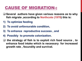 CAUSE OF MIGRATION-:
 Several authors have given various reasons as to why
fish migrate ,according to Northcote (1978) this is:
1) To optimize feeding
2) To avoid unfavourable condition,
3) To enhance reproductive success , and
4) Possibly to promote colonization.
 the strategy of fish is to exploit rich food source , to
enhance food intake which is necessary for increased
growth rate , fecundity and survival.
 