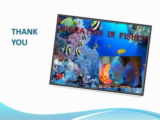 THANK
YOU
 