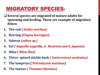 MIGRATORY SPECIES-
 Several species are migrated of mature adults for
spawning and feeding. These are example of migrator...