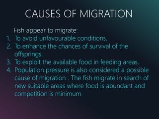 CAUSES OF MIGRATION
Fish appear to migrate:
1. To avoid unfavourable conditions.
2. To enhance the chances of survival of the
offsprings.
3. To exploit the available food in feeding areas.
4. Population pressure is also considered a possible
cause of migration . The fish migrate in search of
new suitable areas where food is abundant and
competition is minimum.
 