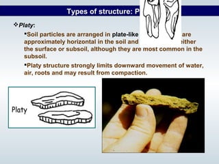 Structure Less Soil Migration of ions and molecules in soil | PPT