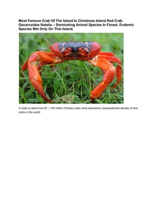 Most Famous Crab Of The Island Is Christmas Island Red Crab
Gecarcoidea Natalis – Dominating Animal Species In Forest, Endemic
Species Met Only On This Island.




In total on island live 50 – 100 million of these crabs what represents unprecedented density of land
crabs in the world.
 