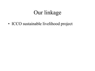 Our linkage
• ICCO sustainable livelihood project
 