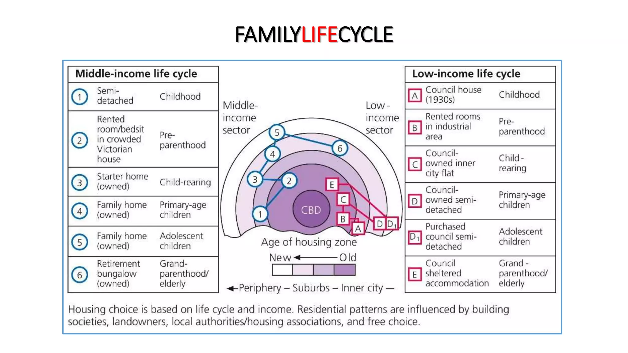 FAMILYLIFECYCLE
 