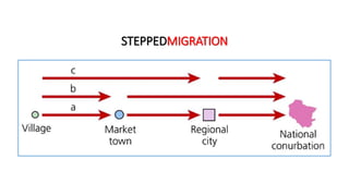 STEPPEDMIGRATION
 