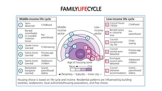 FAMILYLIFECYCLE
 