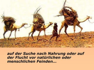 auf der Suche nach Nahrung oder auf
der Flucht vor natürlichen oder
menschlichen Feinden…
 