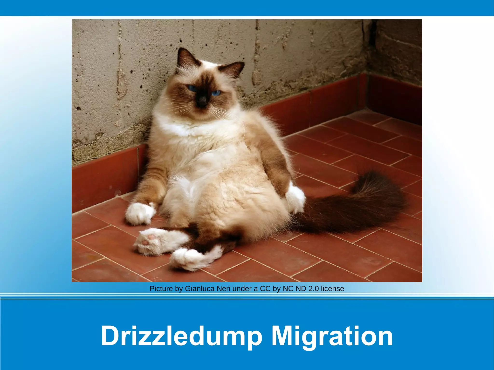 Drizzle Replication Start Master: $ drizzled --innodb.replication-log Slave config (slave.cfg): master-host=my_host master-port=3306 master-user=my_user master-password=my_password Start Slave: $ drizzled --plugin-add=slave --slave.config-file=/path/to/slave.cfg 