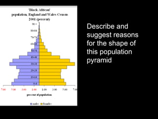 Describe and suggest reasons for the shape of this population pyramid 