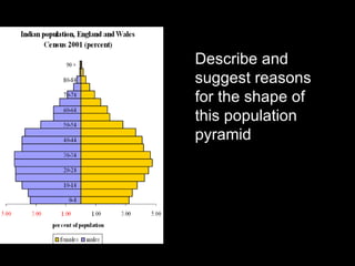 Describe and suggest reasons for the shape of this population pyramid 