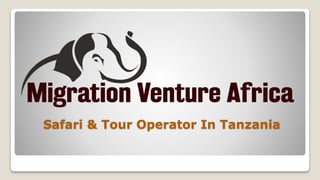 Safari & Tour Operator In Tanzania
 