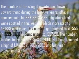The number of the winged guests has shown an
upward trend during the last five years, official
sources said. In 1997-98, 35499 migratory birds
were spotted in this wetland which increased to
43,933 next year. This number got doubled to 70,555
in 1999-2000 in comparison to 1997-98. The number
further incresed to 81,848 in 2000-2001 and touched
a high of 1,14,082 in 2001-2002 and last year
it crossed 1.5 lakh.
 