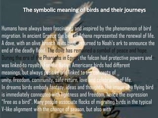 Humans have always been fascinated and inspired by the phenomenon of bird
migration. In ancient Greece the bird of Athena represented the renewal of life.
A dove, with an olive branch in its beak, returned to Noah's ark to announce the
end of the deadly flood. The dove has remained a symbol of peace and hope.
During the era of the Pharaohs in Egypt, the falcon had protective powers and
was linked to royalty. For the Native Americans birds had different
meanings, but always positive and linked to the concepts of
unity, freedom, community, safe return, love and celebration of life.
In dreams birds embody fantasy, ideas and thoughts. The image of a flying bird
is immediately connected with lightness and freedom, hence the expression
―free as a bird‖. Many people associate flocks of migrating birds in the typical
V-like alignment with the change of season, but also with
 