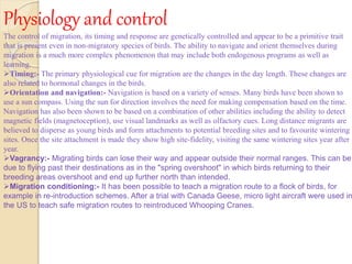 Physiology and control
The control of migration, its timing and response are genetically controlled and appear to be a primitive trait
that is present even in non-migratory species of birds. The ability to navigate and orient themselves during
migration is a much more complex phenomenon that may include both endogenous programs as well as
learning.
Timing:- The primary physiological cue for migration are the changes in the day length. These changes are
also related to hormonal changes in the birds.
Orientation and navigation:- Navigation is based on a variety of senses. Many birds have been shown to
use a sun compass. Using the sun for direction involves the need for making compensation based on the time.
Navigation has also been shown to be based on a combination of other abilities including the ability to detect
magnetic fields (magnetoception), use visual landmarks as well as olfactory cues. Long distance migrants are
believed to disperse as young birds and form attachments to potential breeding sites and to favourite wintering
sites. Once the site attachment is made they show high site-fidelity, visiting the same wintering sites year after
year.
Vagrancy:- Migrating birds can lose their way and appear outside their normal ranges. This can be
due to flying past their destinations as in the "spring overshoot" in which birds returning to their
breeding areas overshoot and end up further north than intended.
Migration conditioning:- It has been possible to teach a migration route to a flock of birds, for
example in re-introduction schemes. After a trial with Canada Geese, micro light aircraft were used in
the US to teach safe migration routes to reintroduced Whooping Cranes.
 