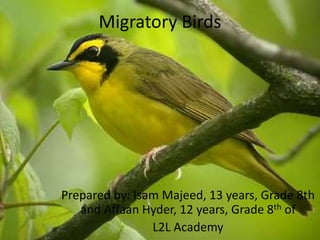 Migratory Birds
Prepared by: Isam Majeed, 13 years, Grade 8th
and Affaan Hyder, 12 years, Grade 8th of
L2L Academy
 