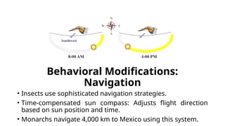 Migratory Syndrome in Migratory Insects.pptx